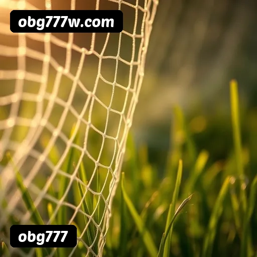 Tabela RTP verificado dos top 15 jogos mais populares obg777 - Gates of Olympus, Fortune Tiger, Aviator