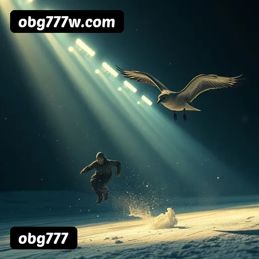 Níveis do programa VIP da obg777